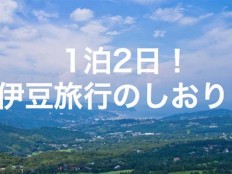 パワポ(PowerPoint)で簡単!旅のしおりの作り方