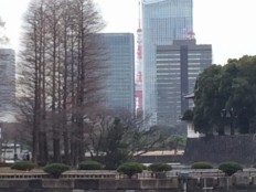 ビルの隙間から東京タワー
