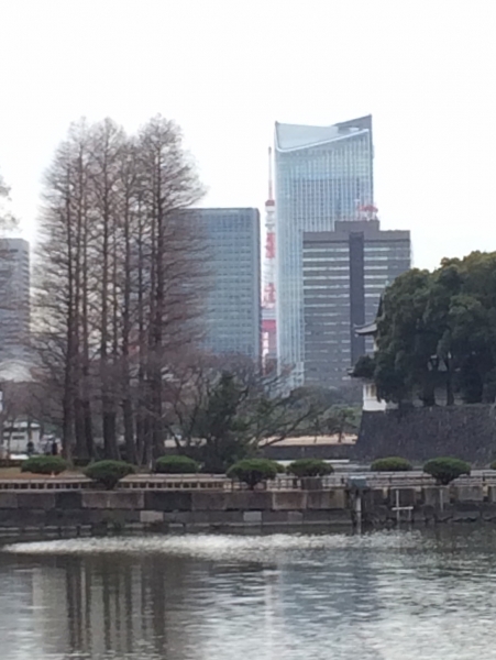 ビルの隙間から東京タワー