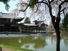 京都　平等院鳳凰堂