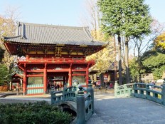 東京 根津神社
