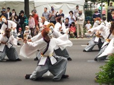 札幌 YOSAKOIソーラン祭り