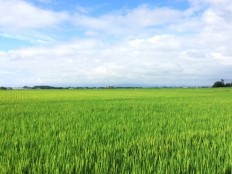 秋田の田園風景