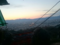 京都　伏見山