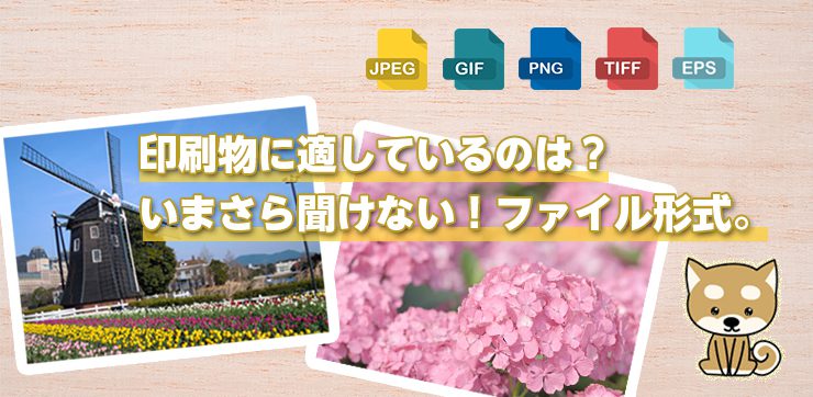 Jpeg と Png 印刷物に適しているのは いまさら聞けない